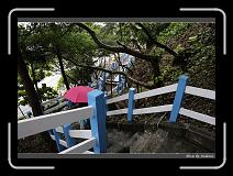IMG_7544 * 850 x 608 * (244KB)