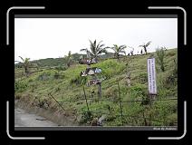 IMG_7547 * 850 x 608 * (242KB)
