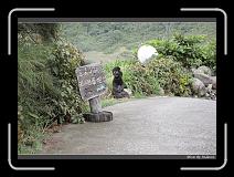 IMG_7553 * 850 x 608 * (249KB)