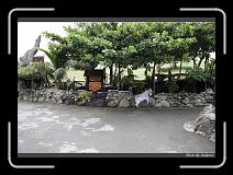 IMG_7560 * 850 x 608 * (246KB)
