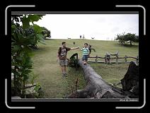 IMG_7639 * 850 x 608 * (235KB)