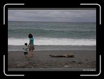 IMG_7663 * 850 x 608 * (232KB)