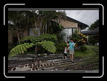IMG_7683 * 850 x 608 * (250KB)