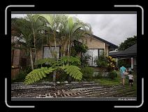 IMG_7684 * 850 x 608 * (246KB)