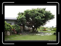 IMG_7696 * 850 x 608 * (246KB)