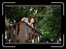 IMG_7716 * 850 x 608 * (240KB)