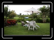 IMG_7719 * 850 x 608 * (244KB)