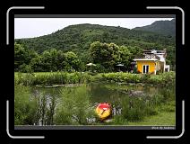 IMG_7976 * 850 x 608 * (240KB)
