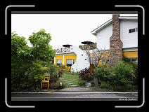 IMG_7978 * 850 x 608 * (245KB)