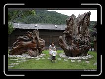 IMG_8044 * 850 x 608 * (247KB)