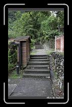 IMG_8066 * 566 x 910 * (247KB)