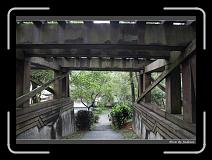 IMG_8128 * 850 x 608 * (236KB)