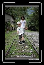 IMG_8143 * 566 x 910 * (245KB)