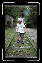 IMG_8145 * 566 x 910 * (235KB)