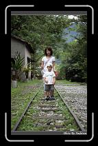 IMG_8148 * 566 x 910 * (242KB)