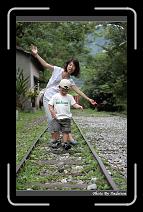 IMG_8151 * 566 x 910 * (240KB)
