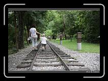 IMG_8169 * 850 x 608 * (247KB)