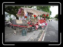 IMG_8184 * 850 x 608 * (249KB)