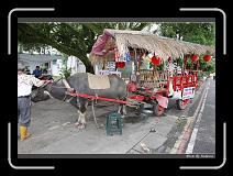 IMG_8185 * 850 x 608 * (243KB)