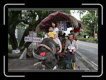 IMG_8190 * 850 x 608 * (250KB)