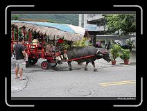 IMG_8212 * 850 x 608 * (245KB)