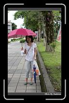 IMG_8214 * 566 x 910 * (242KB)