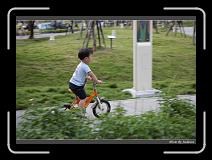 IMG_8339 * 850 x 608 * (218KB)