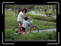 IMG_8342 * 850 x 608 * (244KB)