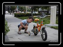 IMG_8344 * 850 x 608 * (226KB)