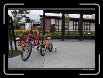 IMG_8354 * 850 x 608 * (241KB)
