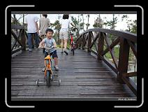 IMG_8358 * 850 x 608 * (238KB)