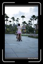 IMG_8410 * 566 x 910 * (216KB)