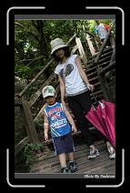 IMG_8626 * 566 x 910 * (247KB)