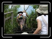 IMG_8627 * 850 x 608 * (239KB)