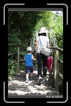 IMG_8630 * 566 x 910 * (243KB)