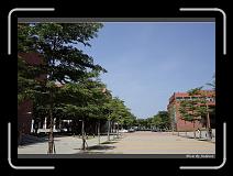 IMG_8762 * 850 x 608 * (243KB)