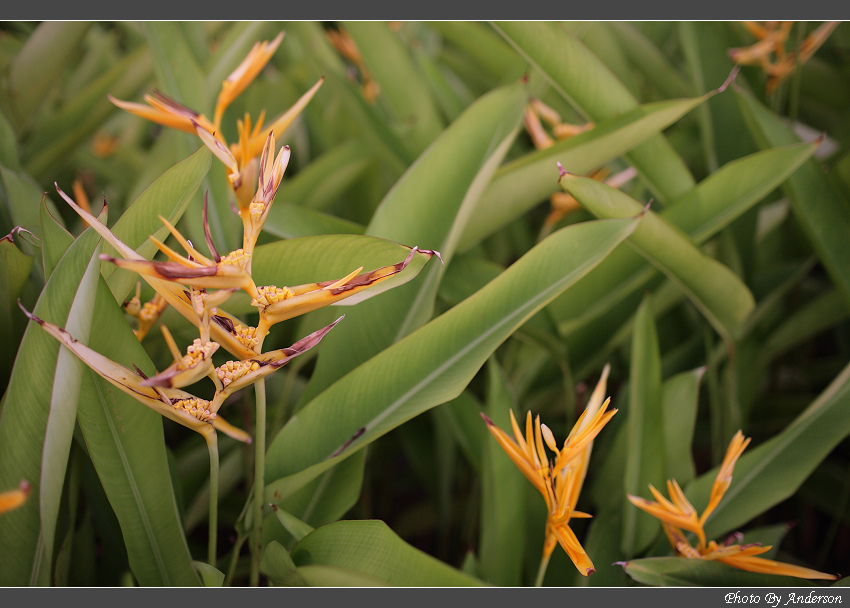 下一張幻燈片