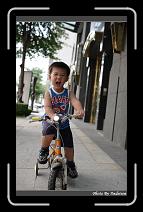 IMG_8832 * 566 x 910 * (238KB)