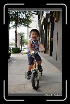 IMG_8835 * 566 x 910 * (229KB)