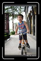 IMG_8837 * 566 x 910 * (235KB)