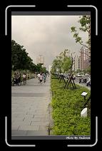 IMG_8843 * 566 x 910 * (249KB)