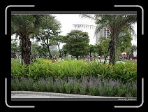IMG_8844 * 850 x 608 * (246KB)