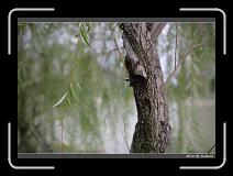 IMG_8848 * 850 x 608 * (232KB)