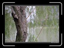 IMG_8849 * 850 x 608 * (236KB)