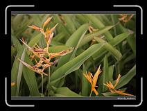 IMG_8856 * 850 x 608 * (248KB)