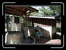IMG_8987 * 850 x 608 * (239KB)