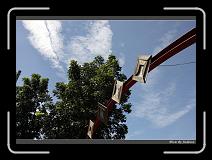 IMG_8991 * 850 x 608 * (240KB)