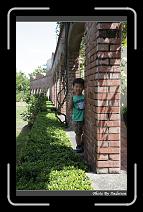 IMG_9024 * 566 x 910 * (244KB)