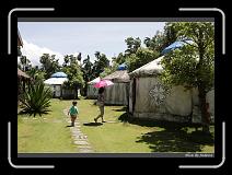 IMG_9115 * 850 x 608 * (248KB)