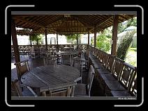 IMG_9125 * 850 x 608 * (242KB)
